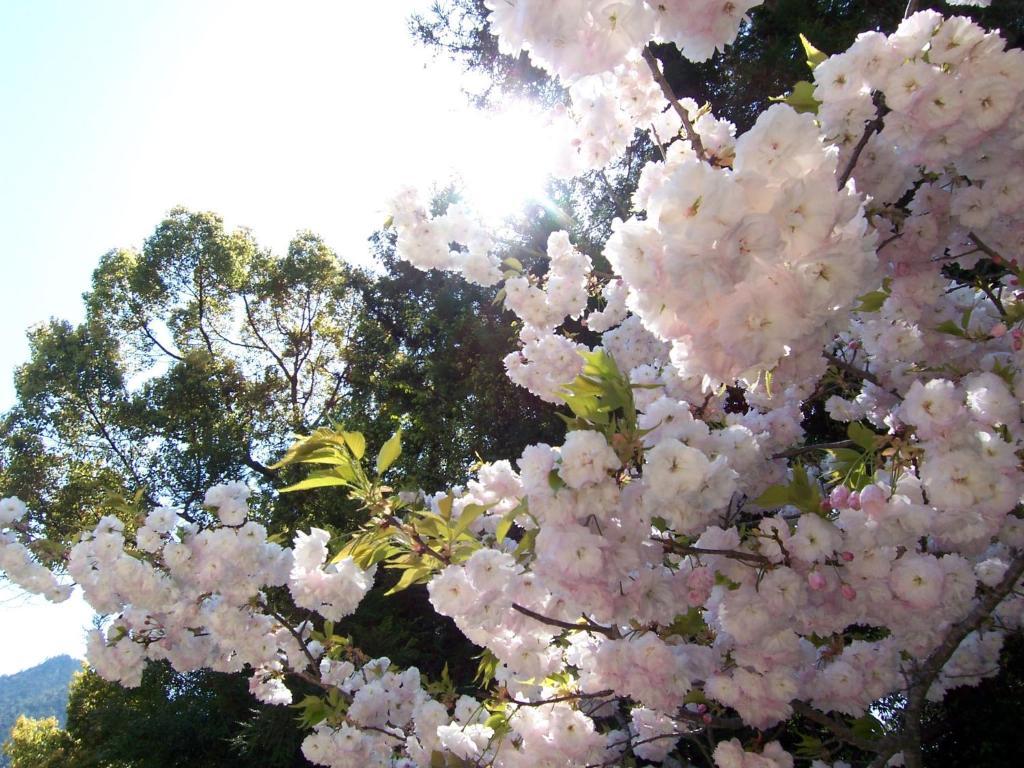 Itsumoya Ξενοδοχείο Hatsukaichi Εξωτερικό φωτογραφία